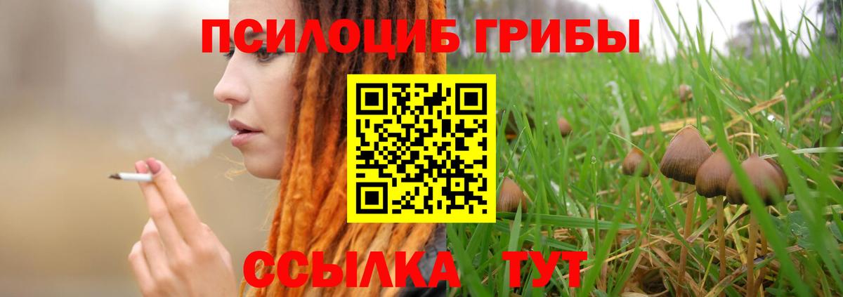 Видное  Галлюциногенные грибы мухоморы  Вход с VPN  Псилоцибиновые грибы MAGIC MUSHROOMS 